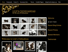 Tablet Screenshot of lilyschihuahuas.com